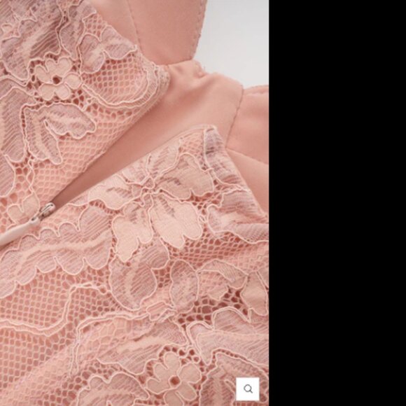 Ulrique Pink Lace Corset Tulle Maxi Dress - Size Small - Picture 5 of 12